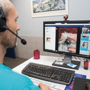 New telemedicine app, VisioCare Linkyvet, helps vets provide patient care, safely and securely