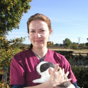 Supreme sponsoring rabbit dentistry talk by RCVS Specialist Molly Varga