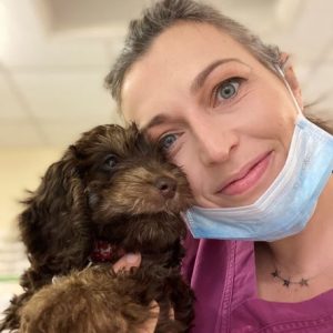 VisioCare launches Puppy Tooth Census