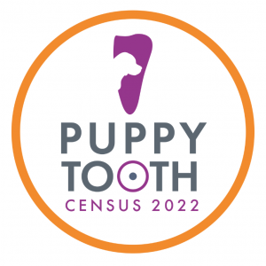 VisioCare Puppy Tooth Census