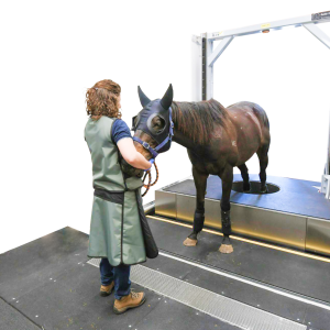 First standing CT scanner installed at Equine Sports Medicine & Surgery