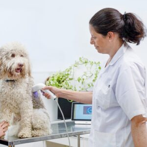 <strong>New skin cancer screening device, HT Vista, available for dogs</strong>