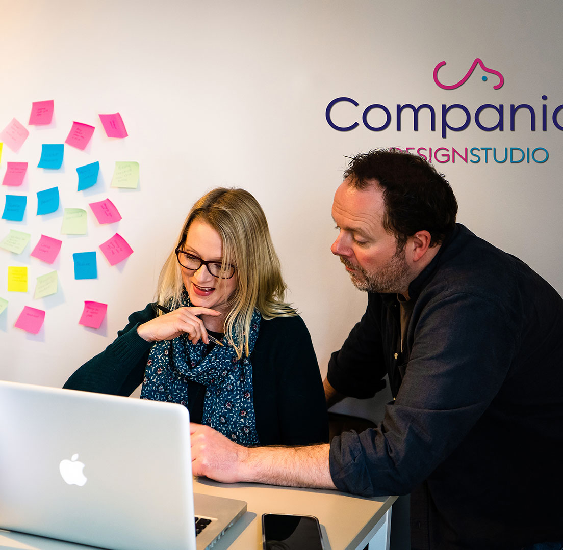 Companion Design Studio created to meet veterinary needs