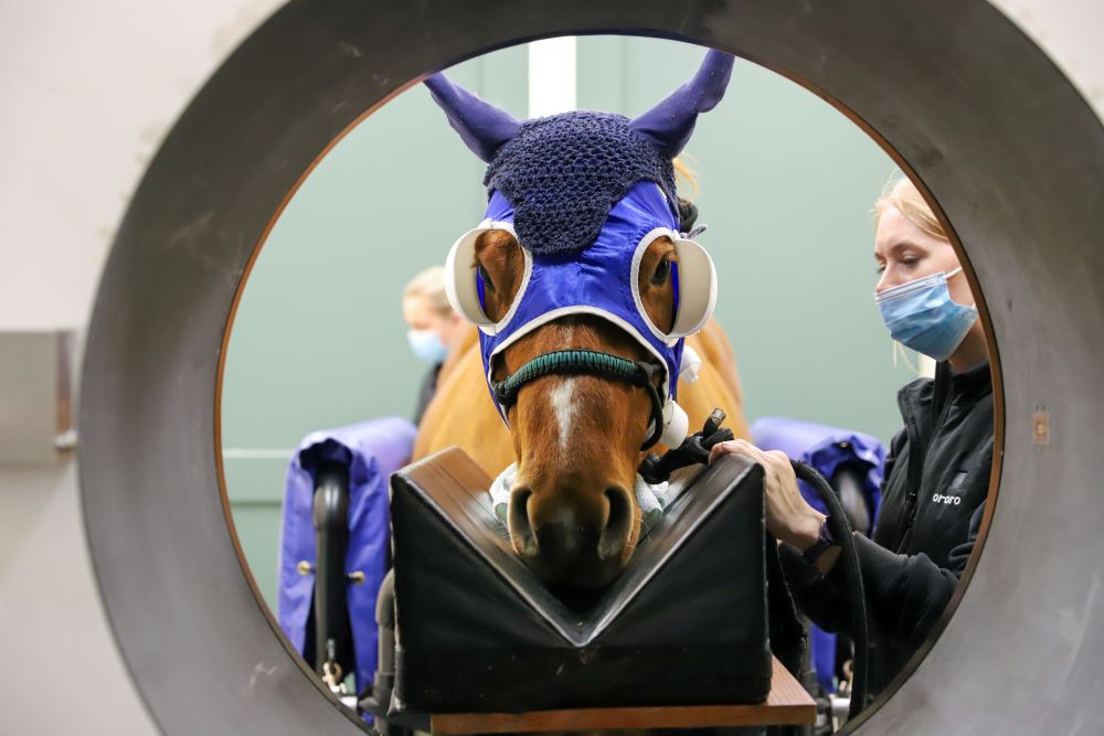 Example of Asto Equina CT scanner being used 