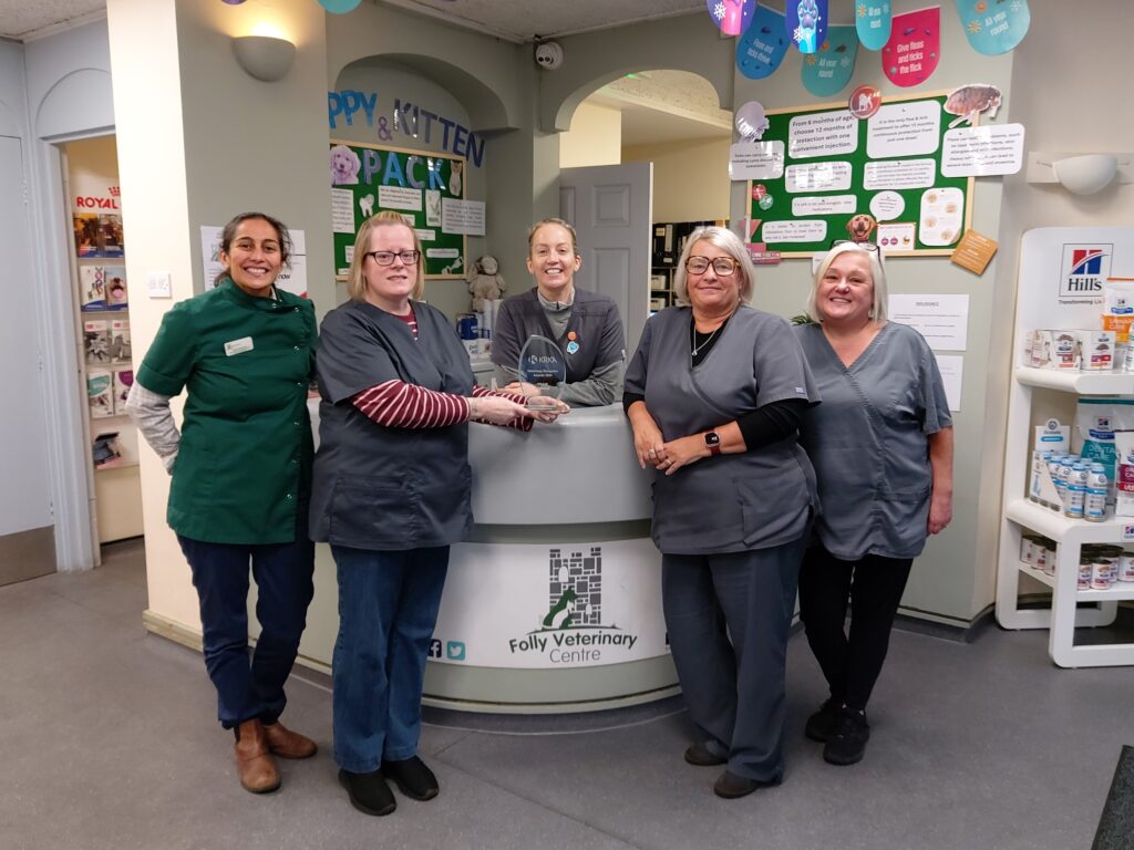the team at folly vets