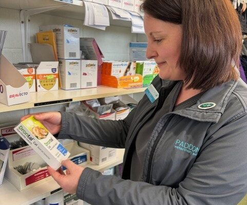 Vetpol Announces Streamlined SQP Integration Course for RVNs
