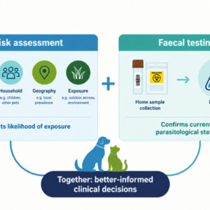 Parachex™ and IDEXX collaboration offers practices end-to-end, test-first parasite control